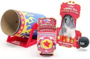 HAYPIGS Circus Guinea Pig Enrichment Toy Bundle