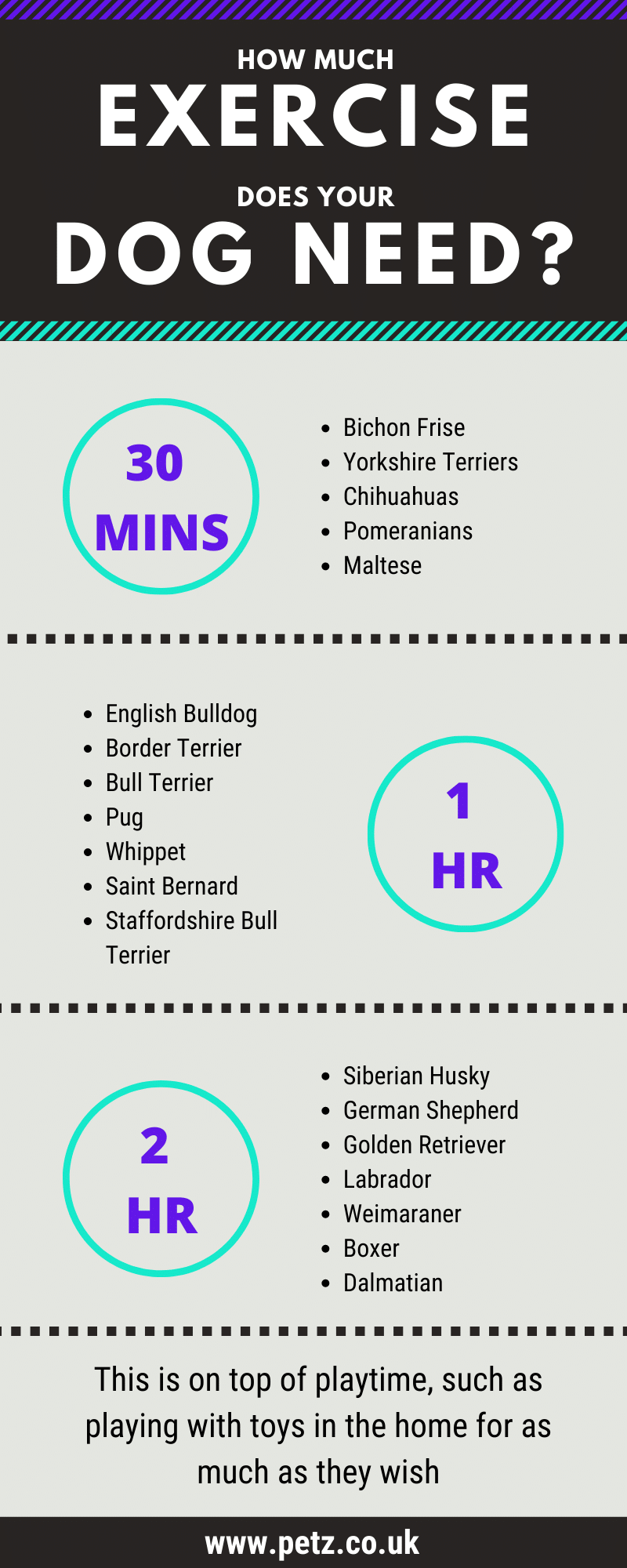 How Much Exercise Should My Dog Get? Petz