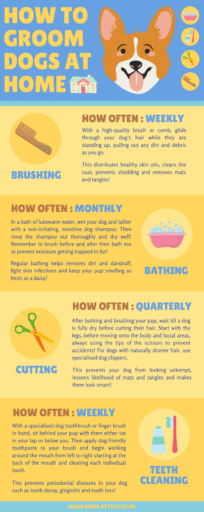 How To Groom Your Dog At Home Petz