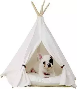 Little Dove Teepee Dog Bed