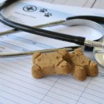 The Cheapest And Most Expensive Dogs To Insure