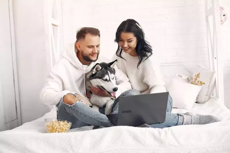 do dogs watch TV?