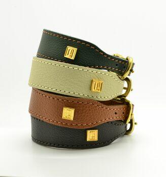 normal_italian-greyhound-collar