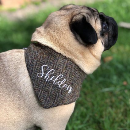 original_personalised-harris-tweed-dog-bandana-e1630058765545