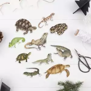 original_reptile-animal-stickers