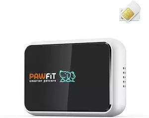 best dog gps tracker