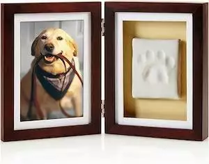 Pearhead Pet Picture & Paw Mould