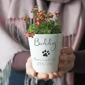 So Close Pet Memorial Plant Pot