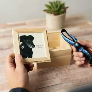 Hoobynoo Pet Memorial Wooden Keepsake Box