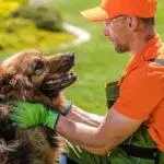 Pet-Safe Weed Killer