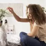 Basic Puppy Training