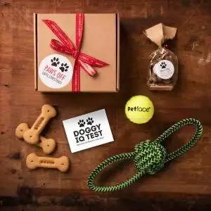 quirky-gift-library-christmas-eve-box-for-the-dog