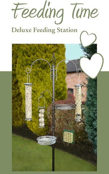 rosewood-feeding-time-deluxe-bird-feeding-station