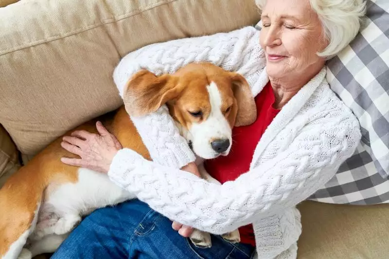 can i pet my dog if i have coronavirus