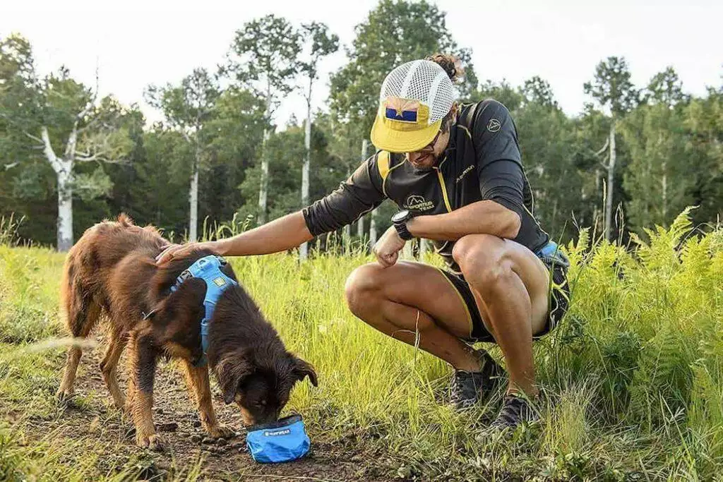 dog drinking from a collapsible dog bowl while outdoors