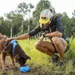 Collapsible Dog Bowls