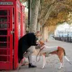 Small Business Spotlight: The London Pup