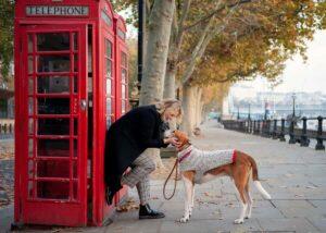 Small Business Spotlight: The London Pup