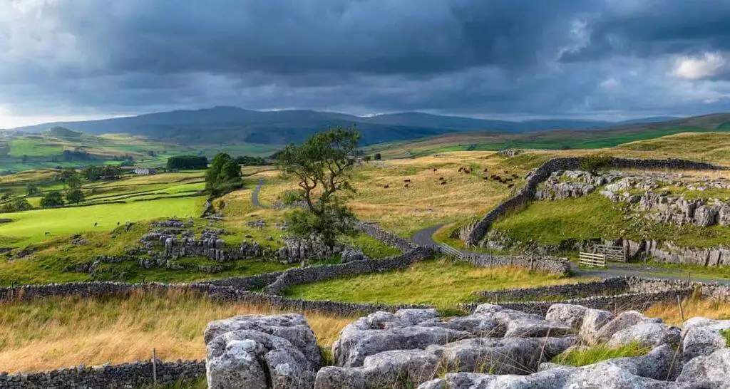 Pet-friendly Cottages in Yorkshire