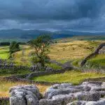 Dog-Friendly Cottages In Yorkshire