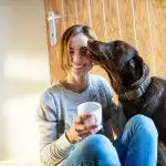 19 Activities To Do With Your Dog During Coronavirus Lockdown