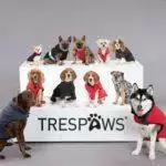 Small Business Spotlight: Trespaws