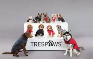 Small Business Spotlight: Trespaws