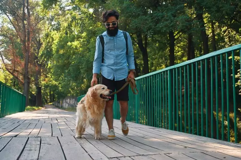 walk your dog in lockdown