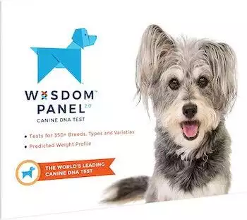 Wisdom Panel 2.0 Dog DNA Test