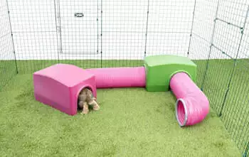 Zippi Rabbit Shelter with Play Tunnel Twin Pack