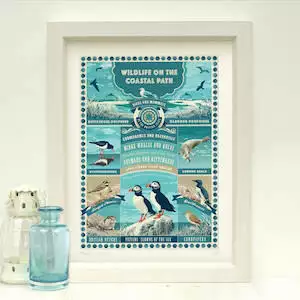 ‘British Coastal Wildlife Art Print’ Coastal Gift